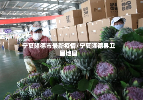 宁夏隆德市最新疫情/宁夏隆德县卫星地图-第1张图片