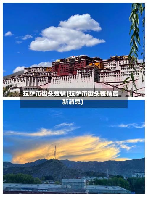 拉萨市街头疫情(拉萨市街头疫情最新消息)