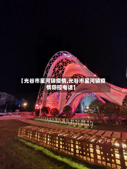 【光谷市星河镇疫情,光谷市星河镇疫情防控电话】-第2张图片