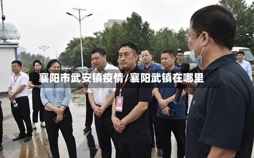 襄阳市武安镇疫情/襄阳武镇在哪里