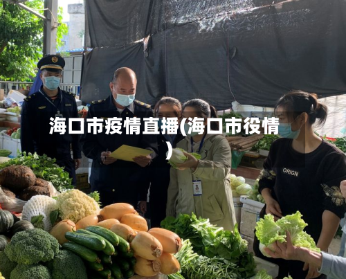 海口市疫情直播(海口市役情)-第1张图片