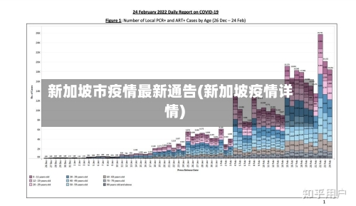 新加坡市疫情最新通告(新加坡疫情详情)-第1张图片