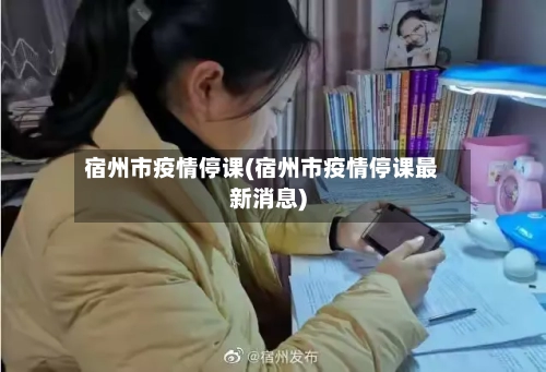 宿州市疫情停课(宿州市疫情停课最新消息)-第1张图片