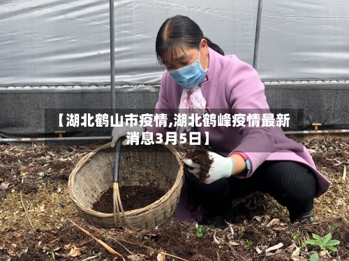 【湖北鹤山市疫情,湖北鹤峰疫情最新消息3月5日】-第1张图片