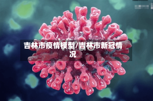 吉林市疫情模型/吉林市新冠情况