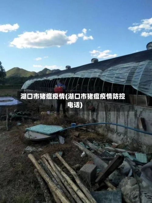 湖口市猪瘟疫情(湖口市猪瘟疫情防控电话)-第1张图片