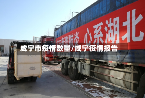 咸宁市疫情数量/咸宁疫情报告-第2张图片