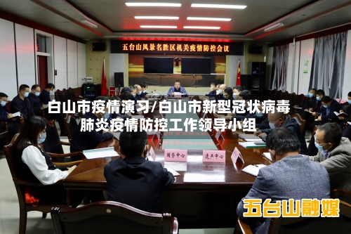 白山市疫情演习/白山市新型冠状病毒肺炎疫情防控工作领导小组-第2张图片