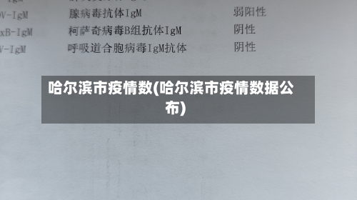 哈尔滨市疫情数(哈尔滨市疫情数据公布)-第2张图片