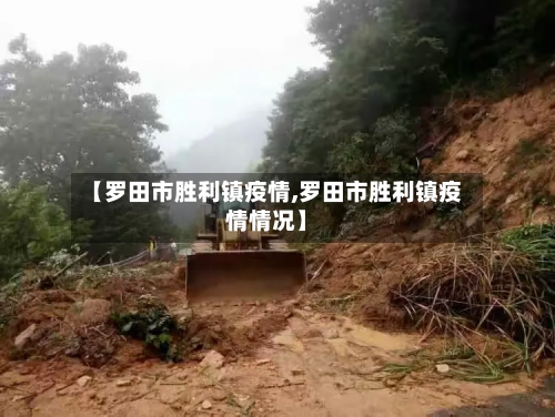 【罗田市胜利镇疫情,罗田市胜利镇疫情情况】-第2张图片