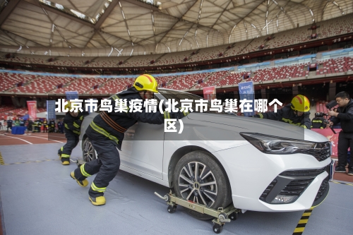 北京市鸟巢疫情(北京市鸟巢在哪个区)-第2张图片