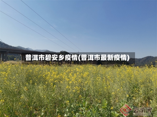 普洱市碧安乡疫情(普洱市最新疫情)-第2张图片