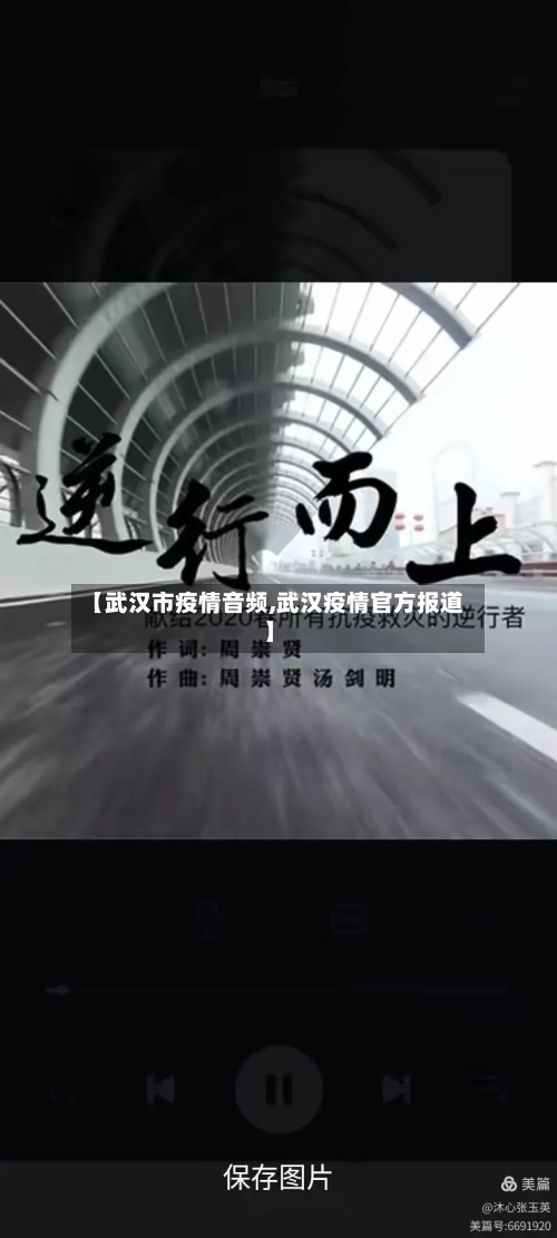 【武汉市疫情音频,武汉疫情官方报道】-第2张图片