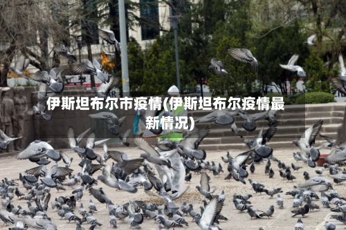 伊斯坦布尔市疫情(伊斯坦布尔疫情最新情况)-第2张图片