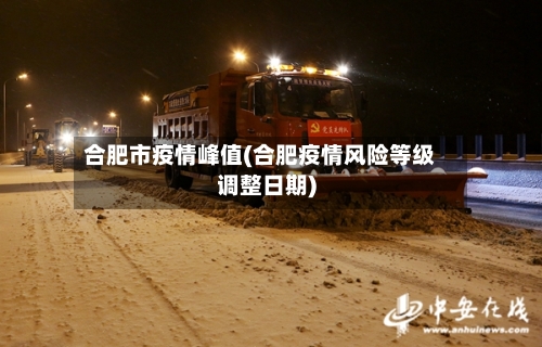 合肥市疫情峰值(合肥疫情风险等级调整日期)-第2张图片