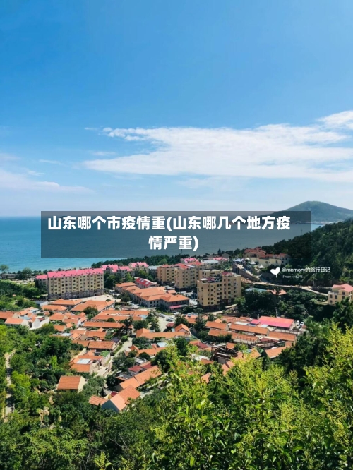 山东哪个市疫情重(山东哪几个地方疫情严重)-第2张图片