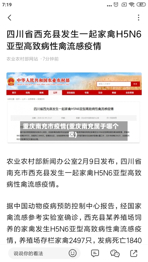 重庆南充市疫情(重庆南充属于哪个区)-第1张图片