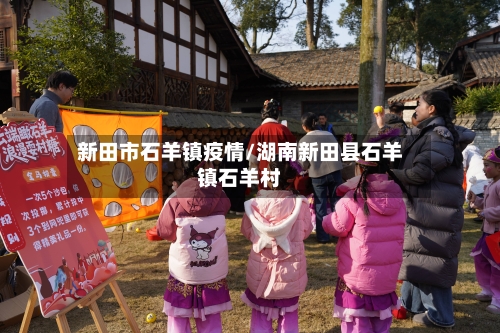 新田市石羊镇疫情/湖南新田县石羊镇石羊村-第1张图片
