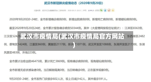 武汉市疫情局(武汉市疫情局官方网站)-第1张图片