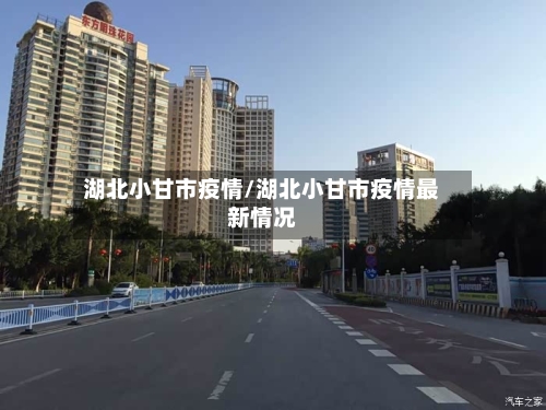 湖北小甘市疫情/湖北小甘市疫情最新情况-第1张图片