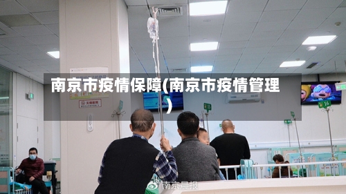 南京市疫情保障(南京市疫情管理)-第2张图片