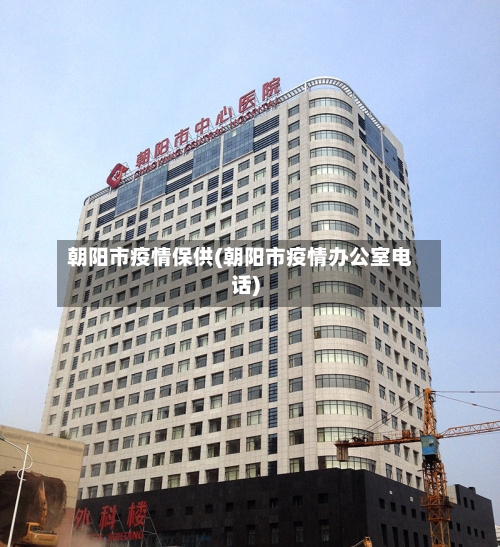 朝阳市疫情保供(朝阳市疫情办公室电话)-第1张图片