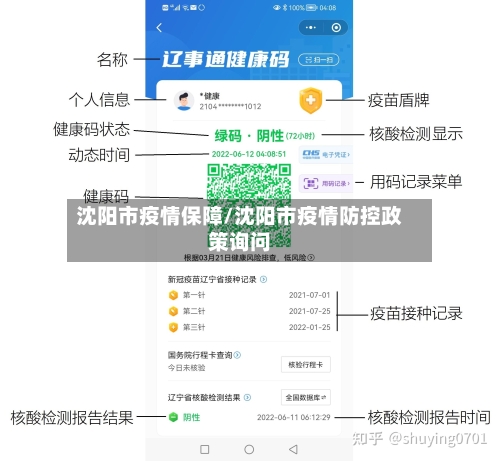 沈阳市疫情保障/沈阳市疫情防控政策询问-第1张图片