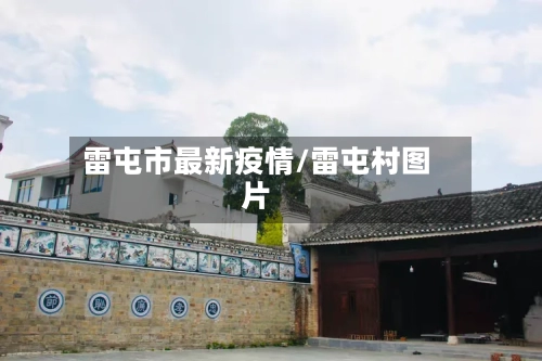 雷屯市最新疫情/雷屯村图片-第3张图片
