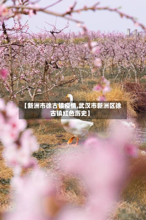 【新洲市徐古镇疫情,武汉市新洲区徐古镇红色历史】-第1张图片