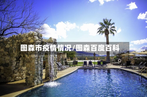 图森市疫情情况/图森百度百科-第1张图片