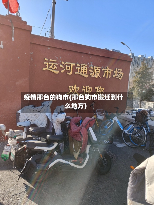 疫情邢台的狗市(邢台狗市搬迁到什么地方)-第1张图片