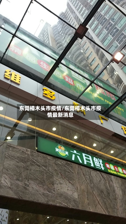东莞樟木头市疫情/东莞樟木头市疫情最新消息-第1张图片