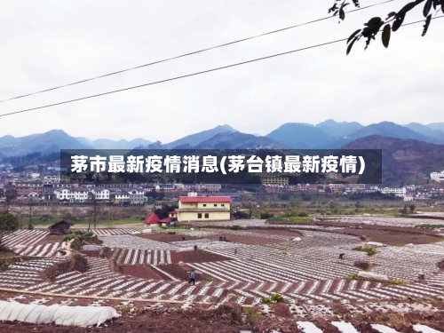 茅市最新疫情消息(茅台镇最新疫情)-第3张图片