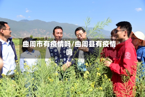 曲周市有疫情吗/曲周县有疫情吗-第2张图片