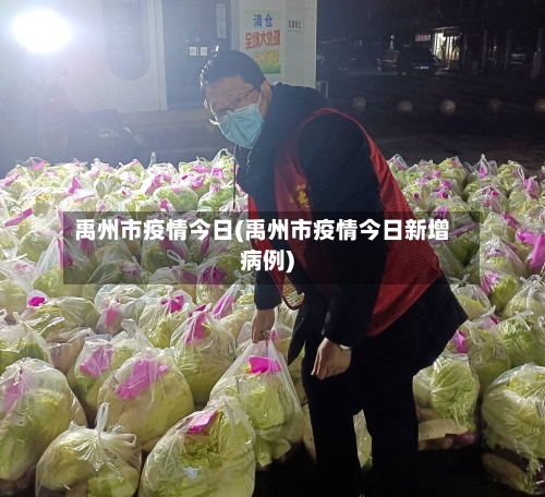 禹州市疫情今日(禹州市疫情今日新增病例)-第2张图片