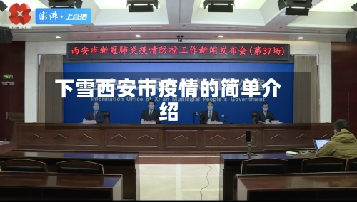 下雪西安市疫情的简单介绍-第1张图片