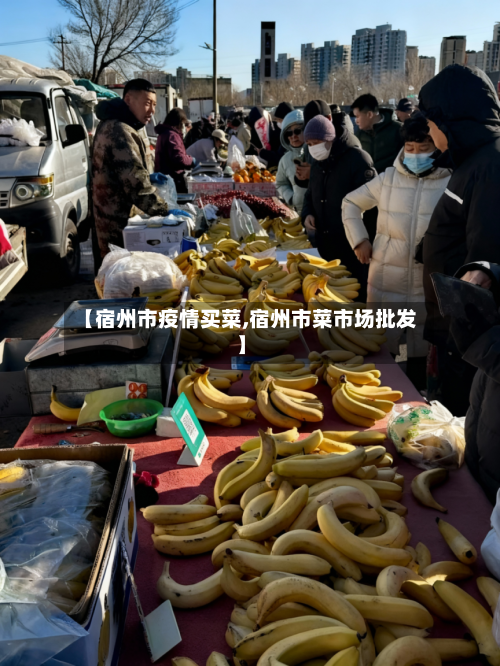 【宿州市疫情买菜,宿州市菜市场批发】-第1张图片
