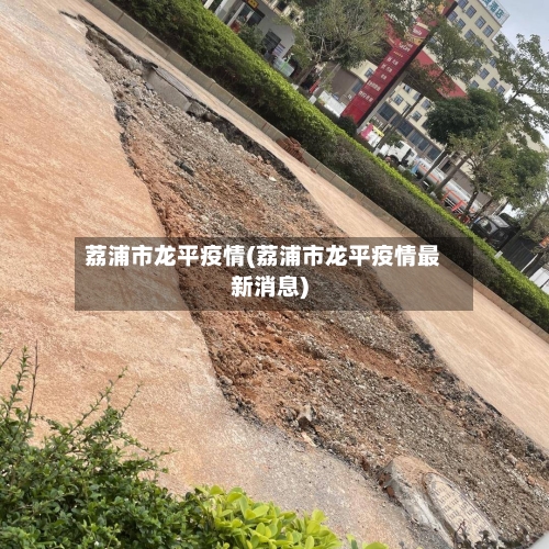 荔浦市龙平疫情(荔浦市龙平疫情最新消息)-第2张图片