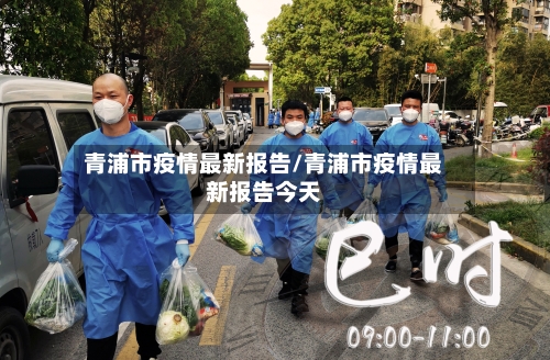 青浦市疫情最新报告/青浦市疫情最新报告今天-第1张图片