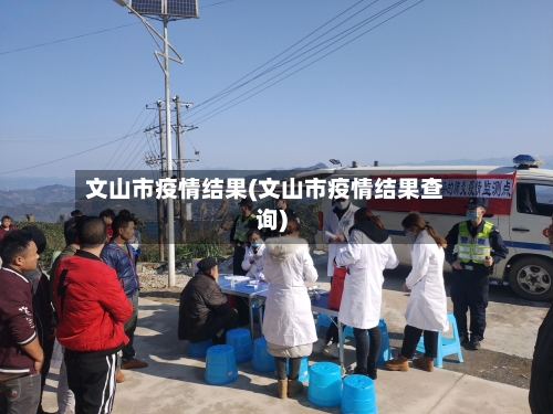 文山市疫情结果(文山市疫情结果查询)-第1张图片