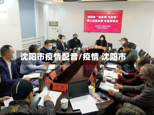 沈阳市疫情配音/疫情 沈阳市-第3张图片