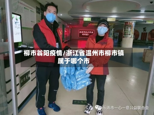 柳市翁阳疫情/浙江省温州市柳市镇属于哪个市-第3张图片