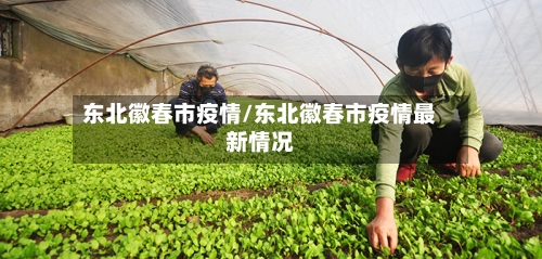 东北徽春市疫情/东北徽春市疫情最新情况-第1张图片