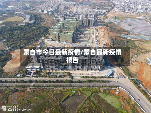 蒙自市今日最新疫情/蒙自最新疫情报告-第2张图片