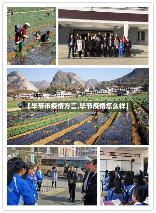 【毕节市疫情方言,毕节疫情怎么样】-第1张图片