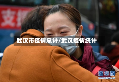 武汉市疫情总计/武汉疫情统计-第2张图片