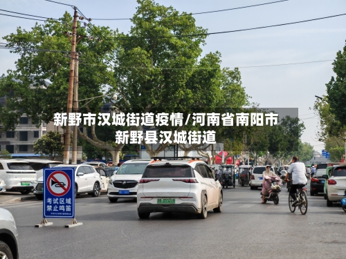 新野市汉城街道疫情/河南省南阳市新野县汉城街道-第1张图片