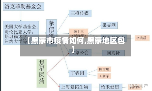 【黑蒙市疫情如何,黑蒙地区包】-第1张图片