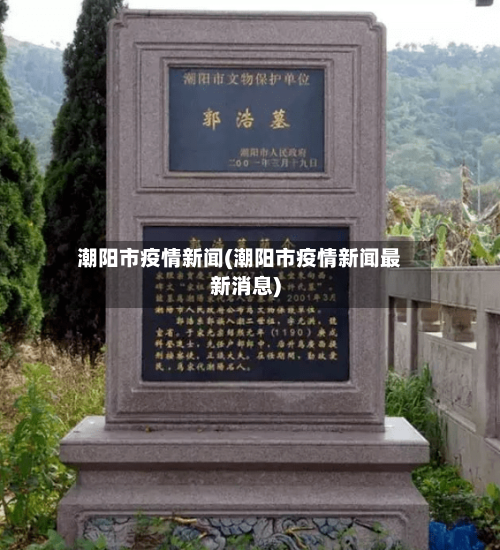 潮阳市疫情新闻(潮阳市疫情新闻最新消息)-第2张图片