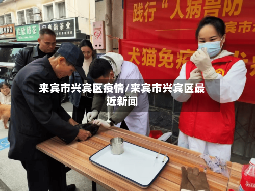 来宾市兴宾区疫情/来宾市兴宾区最近新闻-第1张图片